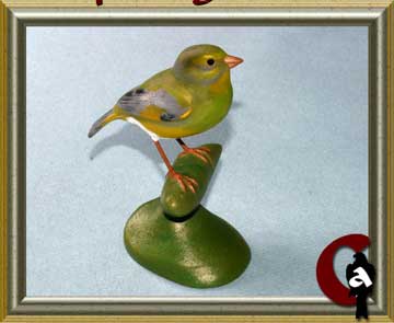 European greenfinch - Carduelis chloris
